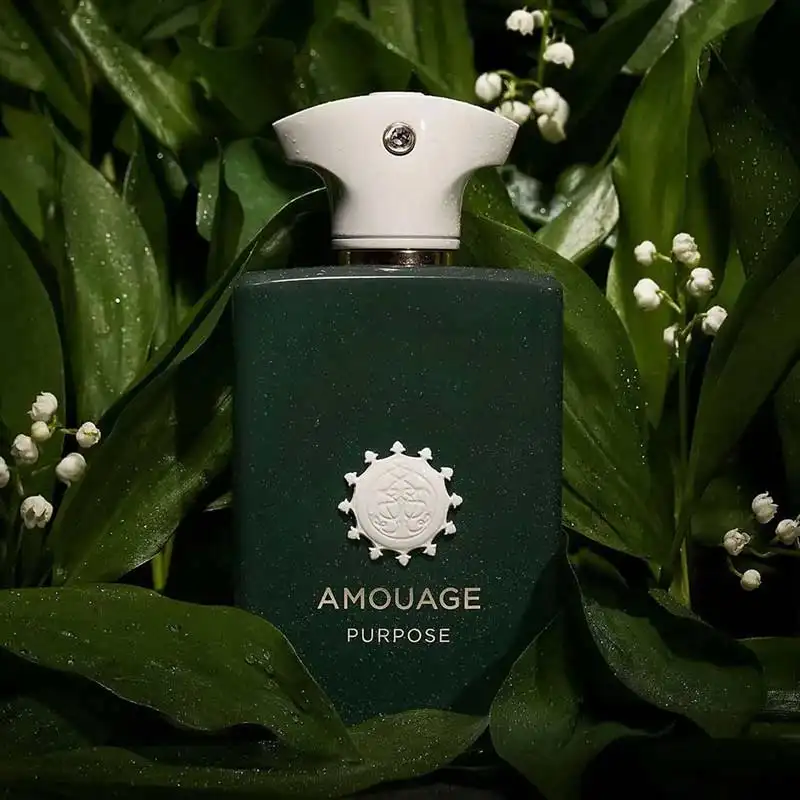 عطر ادوپرفیوم آمواج مدل پرپس با رایحه گرم