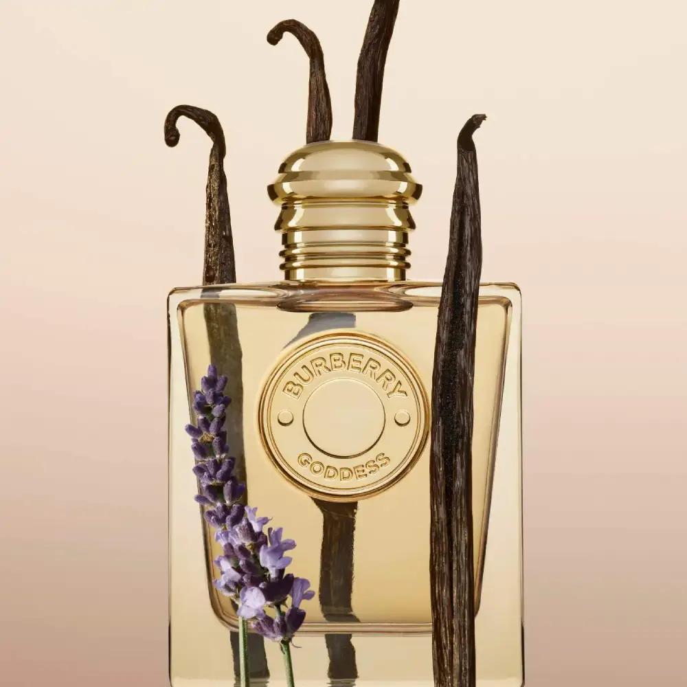 عطر ادوپرفیوم زنانه باربری مدل گادس با رایحه گرم