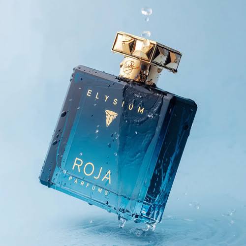 عطر پارفوم کلن مردانه روژا پرفیوم مدل الیسیوم با رایحه خنک