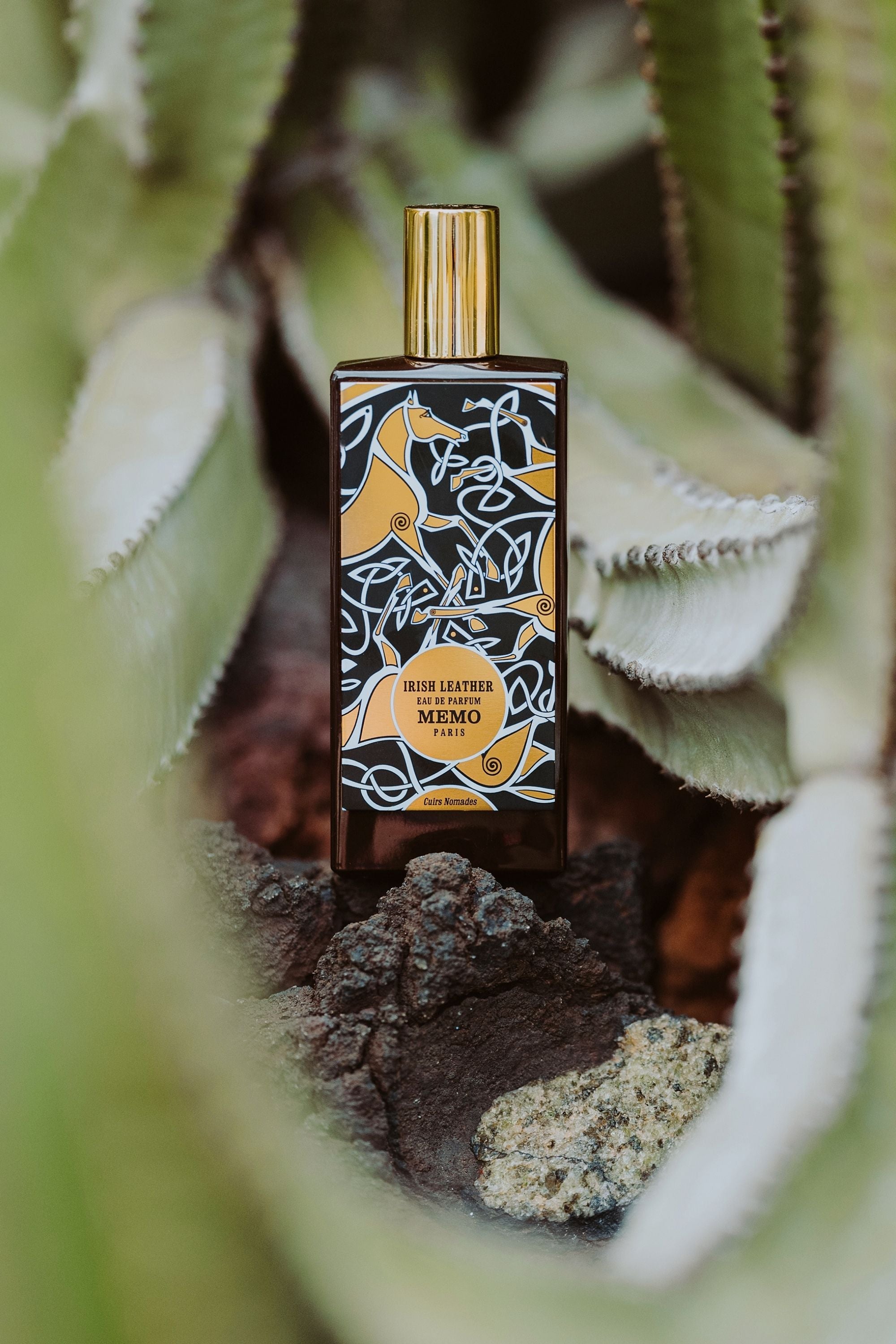 عطر ادو پرفیوم ممو مدل آیریش لدر با رایحه خنک و تلخ