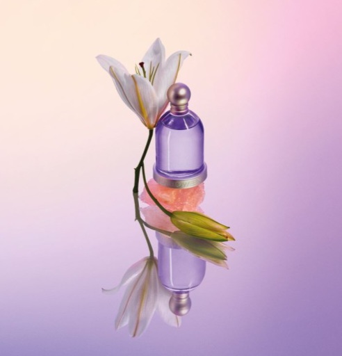 عطر ادوتویلت زنانه هالووین با رایحه خنک و شیرین