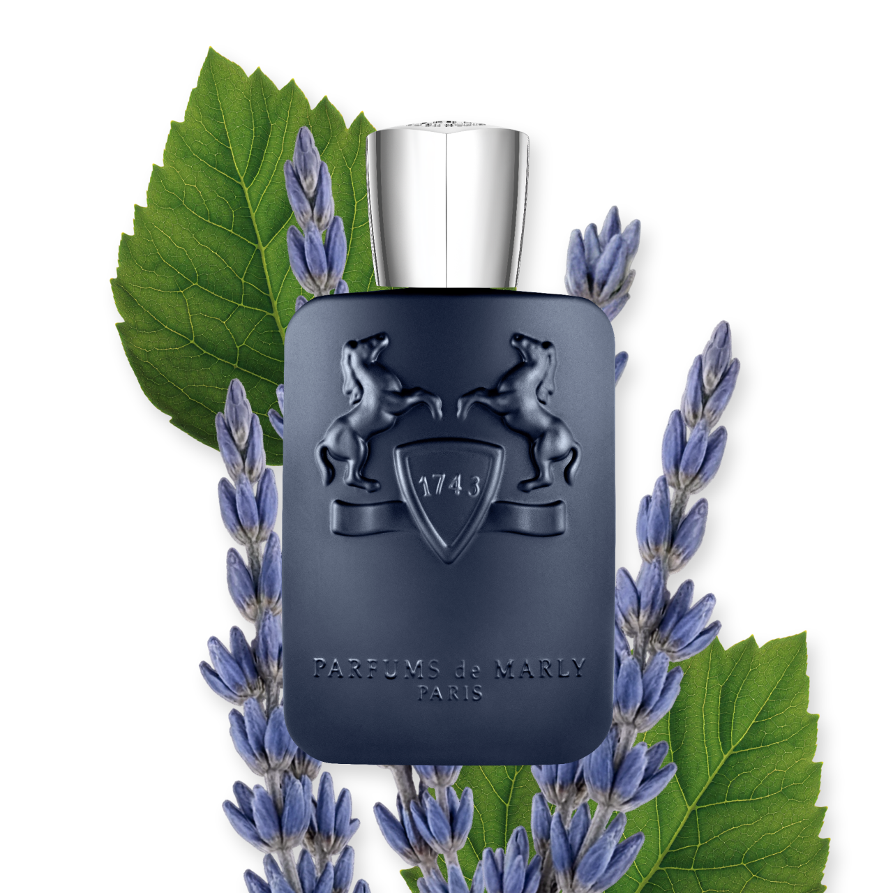 عطر ادوپرفیوم مردانه پرفیومز د مارلی مدل لیتون با رایحه گرم و شیرین