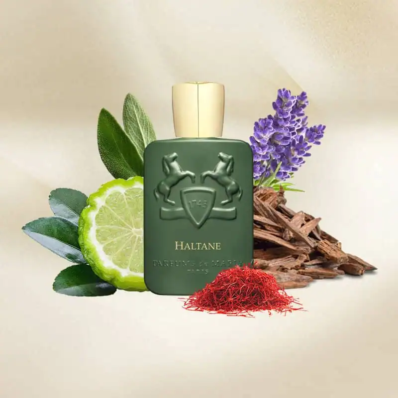 عطر ادوپرفیوم مردانه پرفیومز د مارلی مدل هالتان با رایحه گرم و معتدل